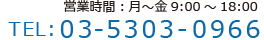 電話番号:03-5303-0966